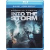 Into the storm