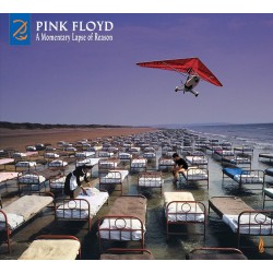 Pink Floyd - A Momentary Lapse of Reason (CD+BD)