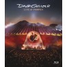 David Gilmour - Live at Pompeii (2 CD+2 BD)