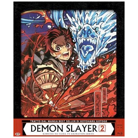 Demon Slayer Box 2 Limited Edition